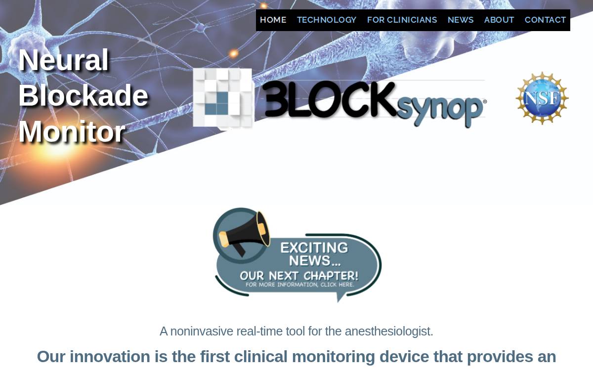 Blocksynop website preview