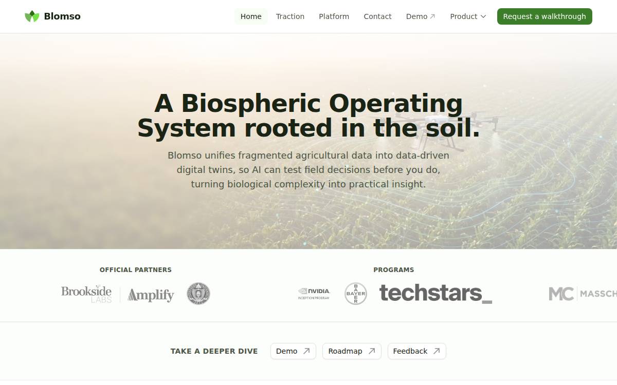 Blomso website preview