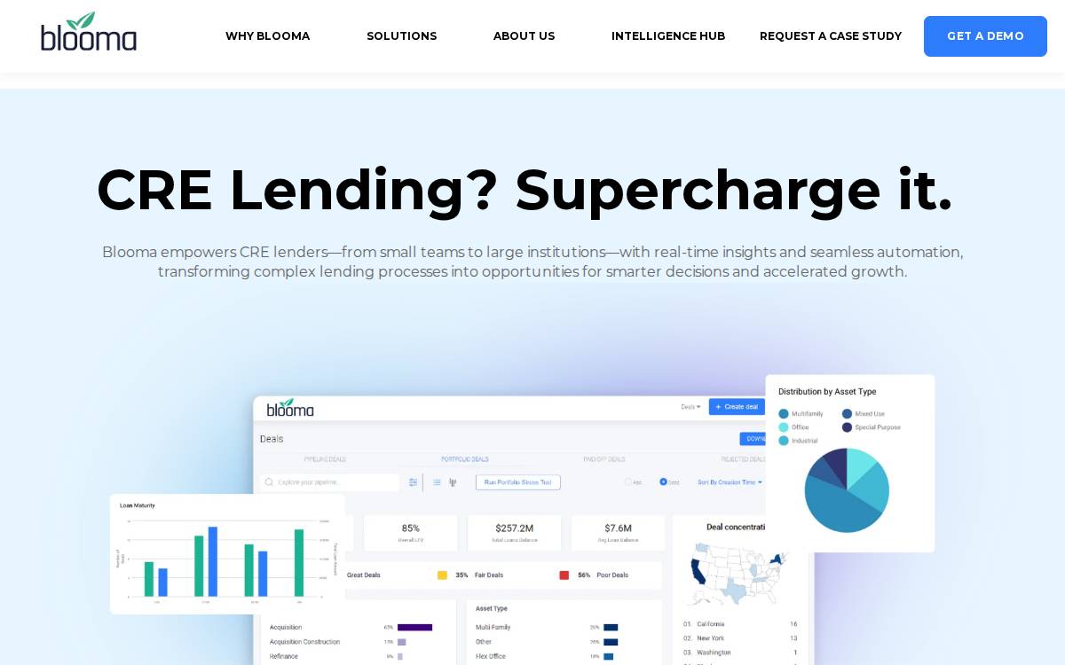 Blooma website preview