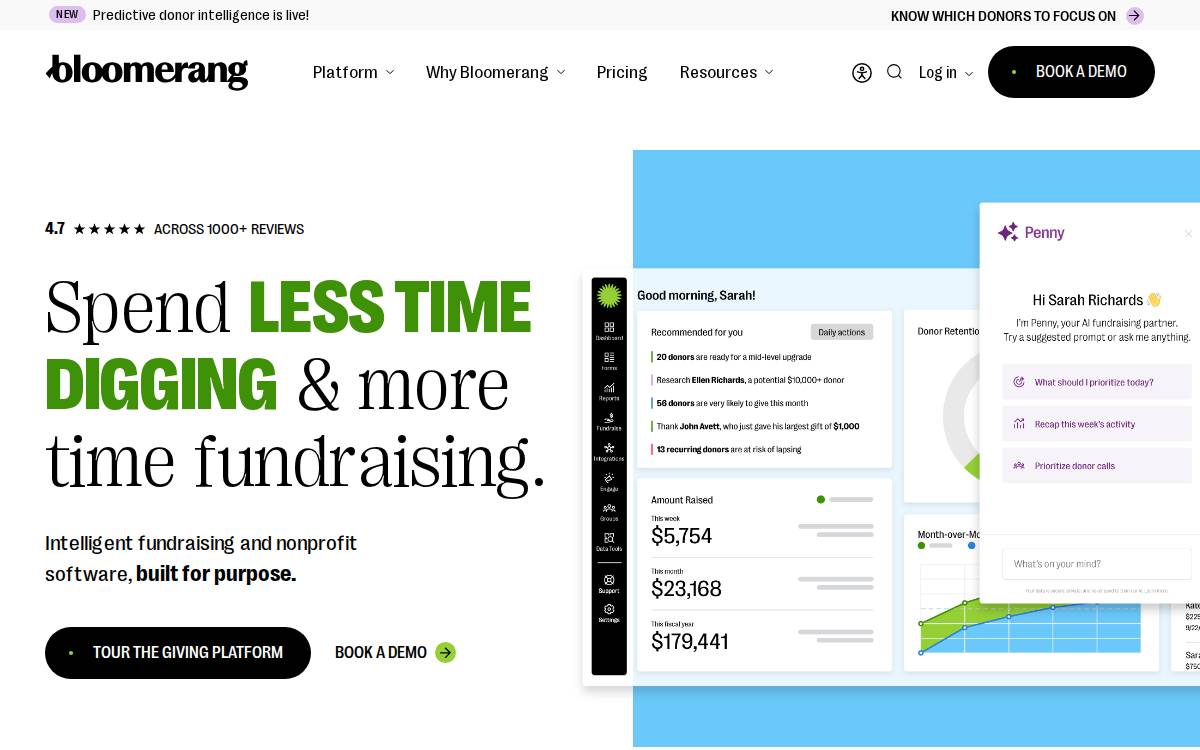Bloomerang website preview