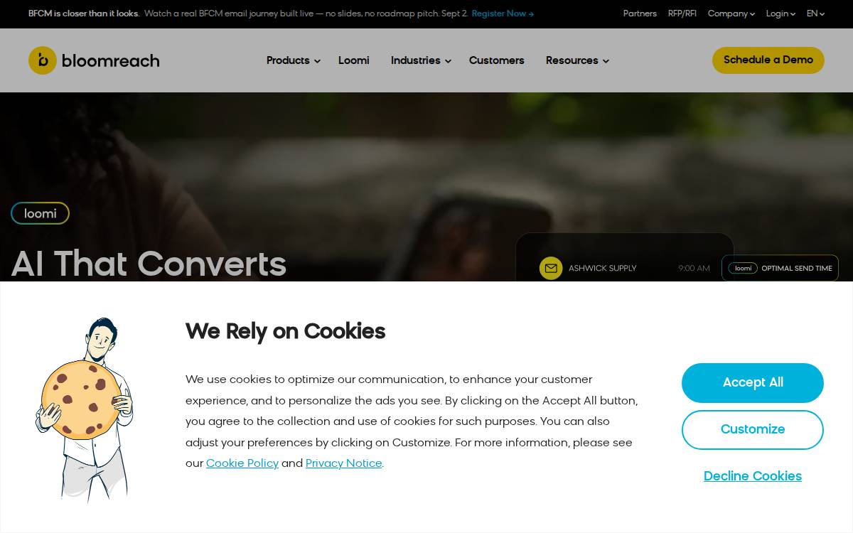 BloomReach website preview