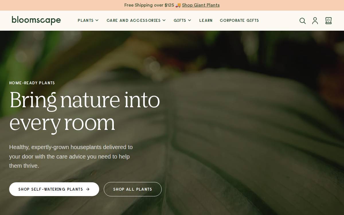 Bloomscape website preview