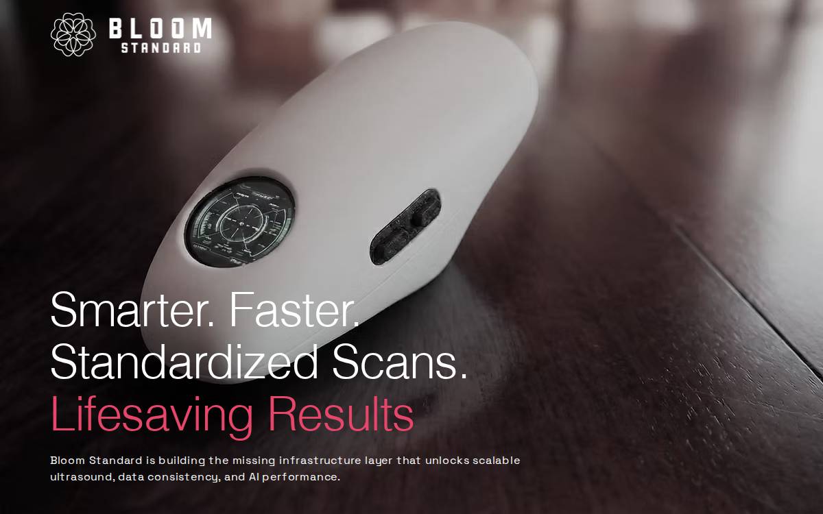 Bloomstandard website preview