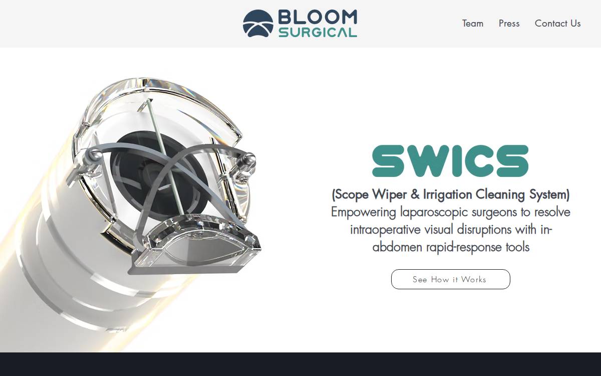Bloomsurgical website preview