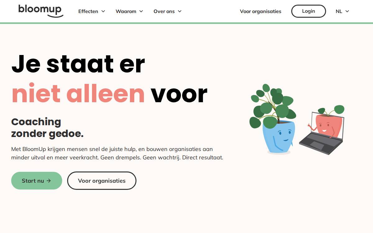BloomUp website preview