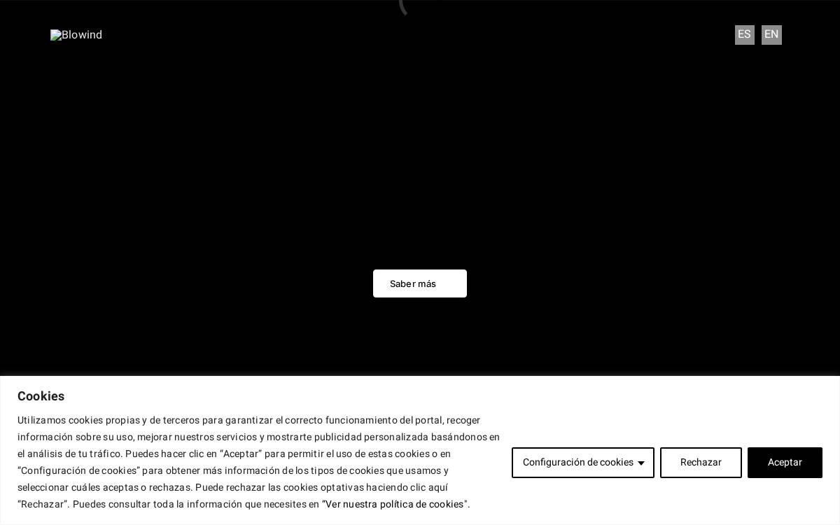 Blowind website preview