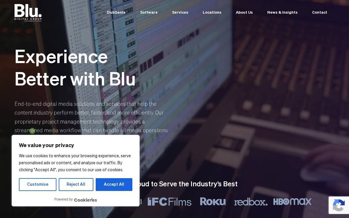 Blu Digital Group website preview