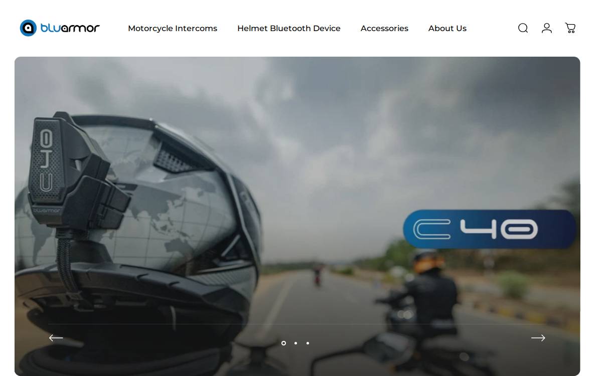 BluArmor website preview