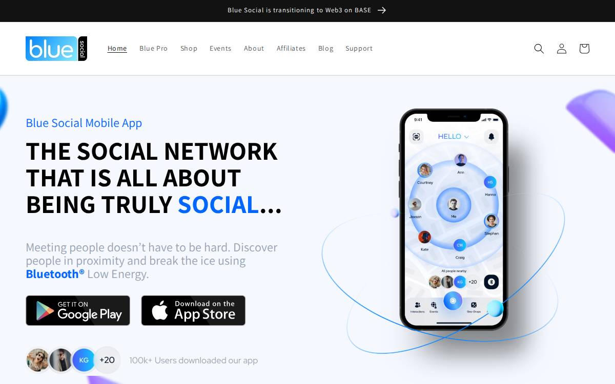 Blue website preview