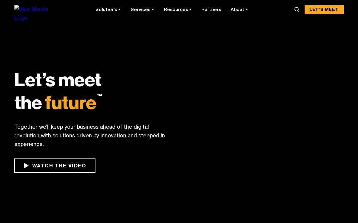 Blue Mantis website preview