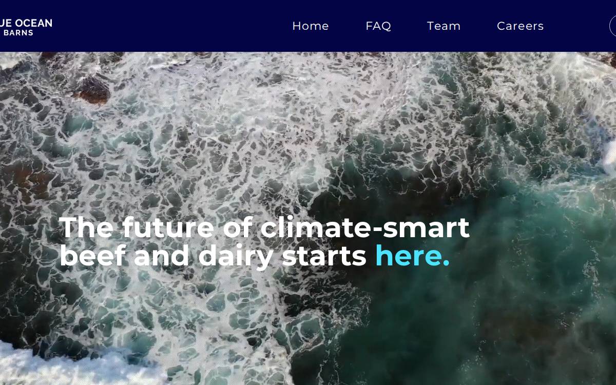 Blue Ocean Barns website preview