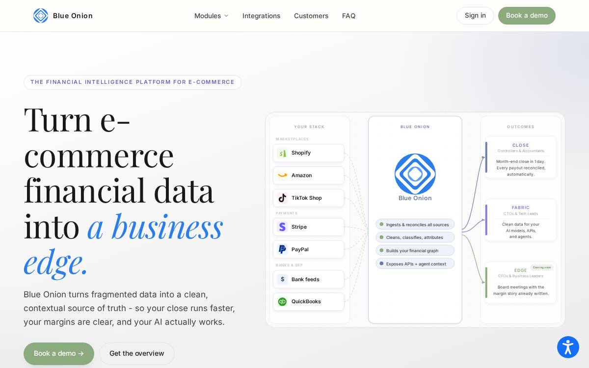Blue Onion website preview