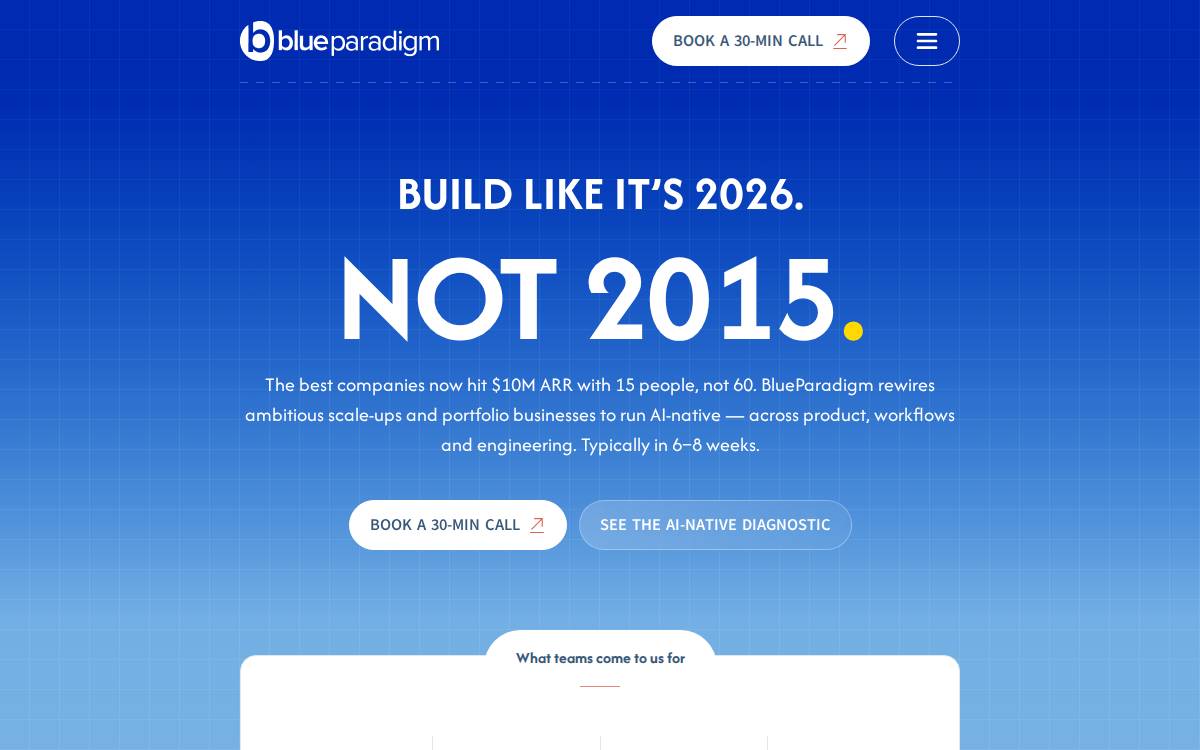 Blue Paradigm website preview