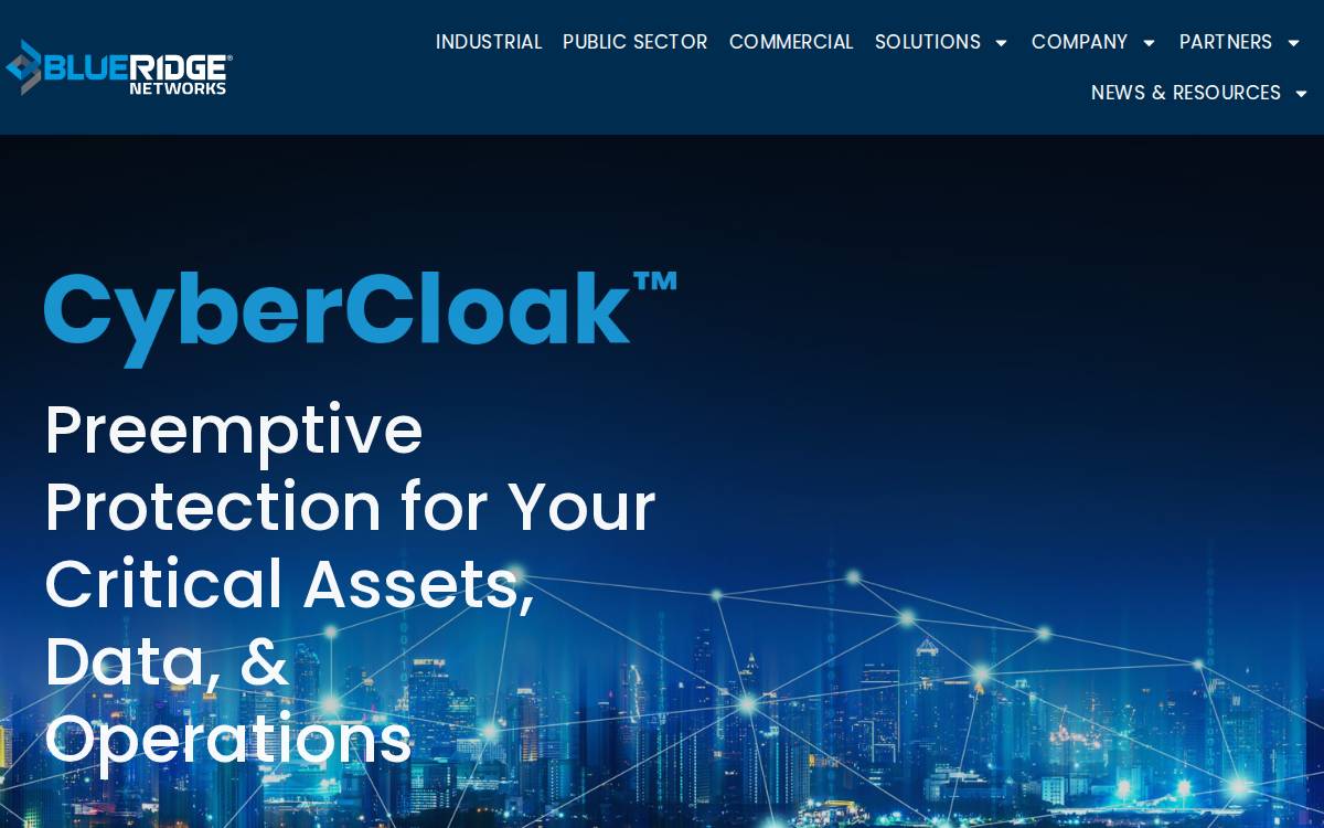 Blue Ridge Networks website preview