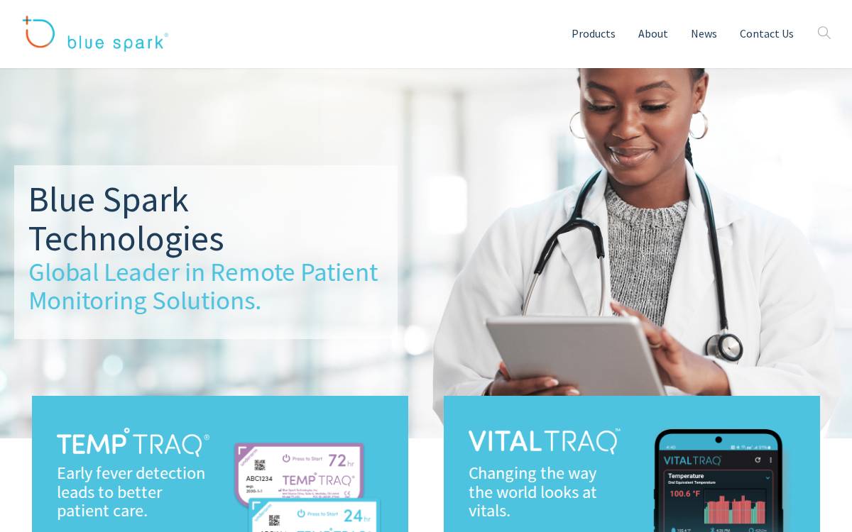 Blue Spark Technologies website preview