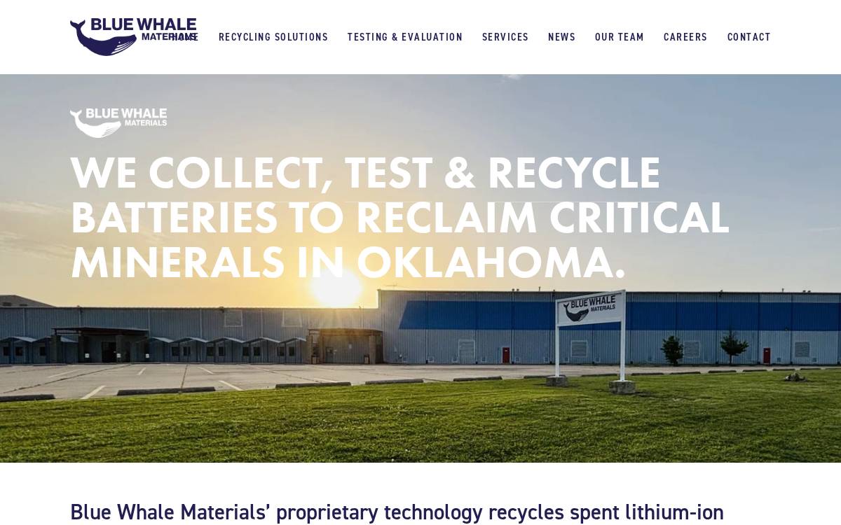 Blue Whale Materials website preview
