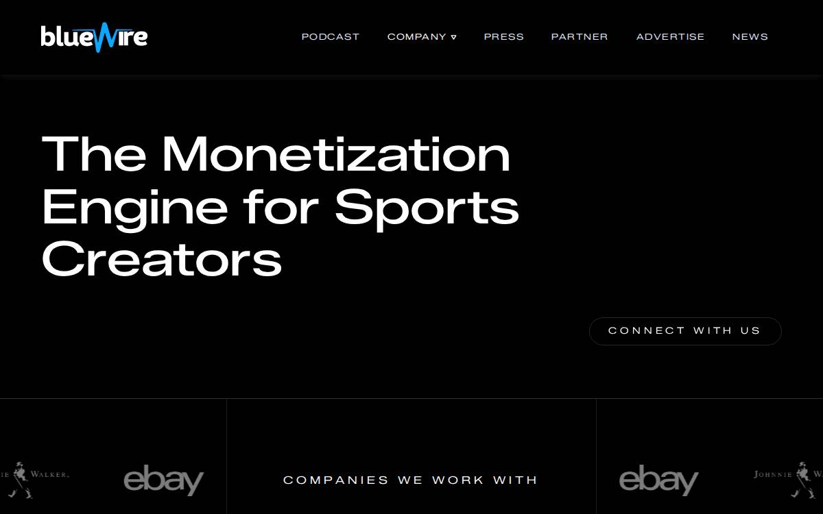 Blue Wire website preview