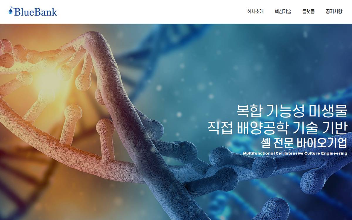 BlueBank website preview