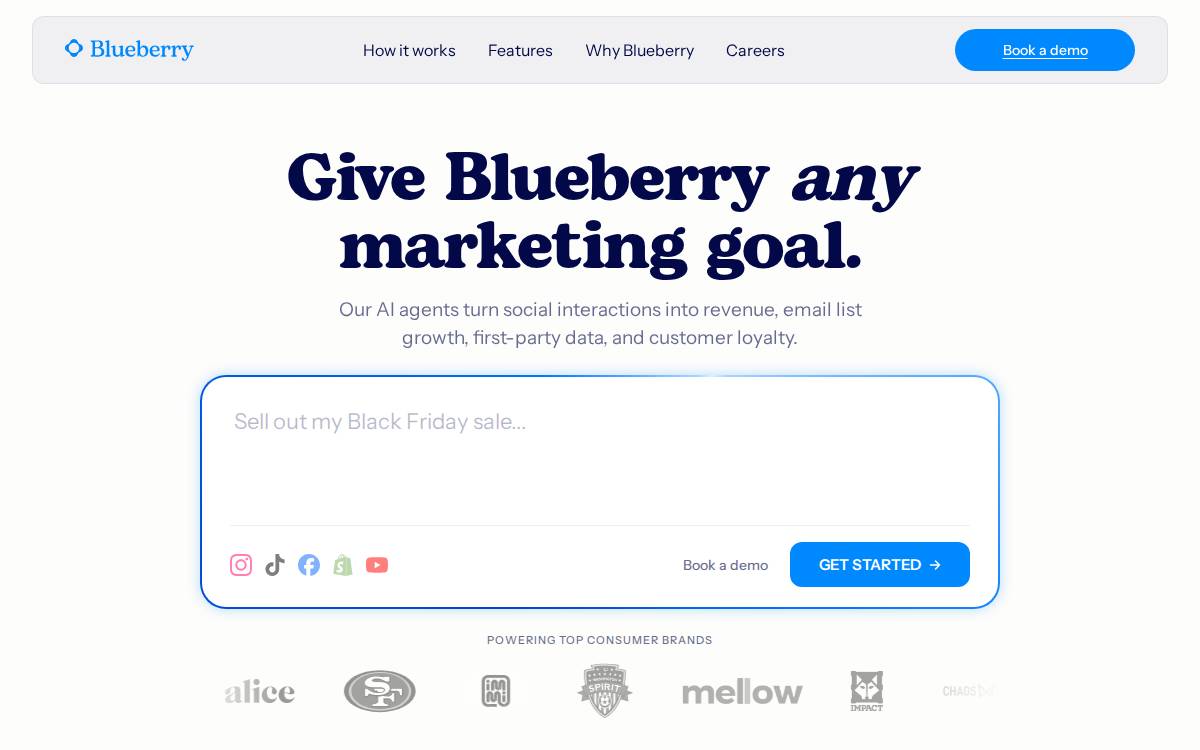 Blueberry website preview