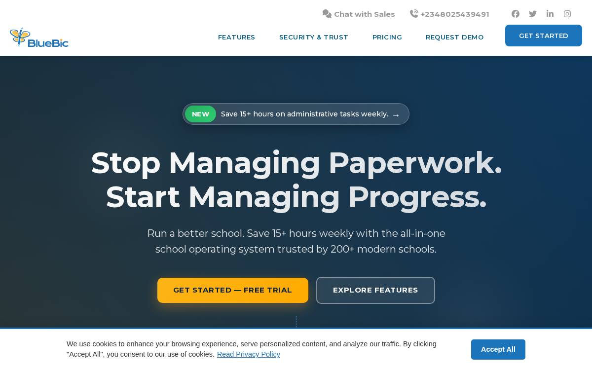 BlueBic website preview