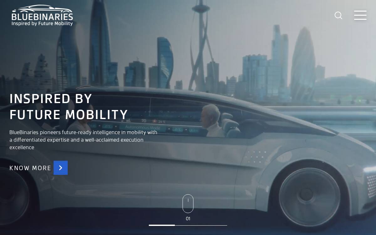 BlueBinaries website preview