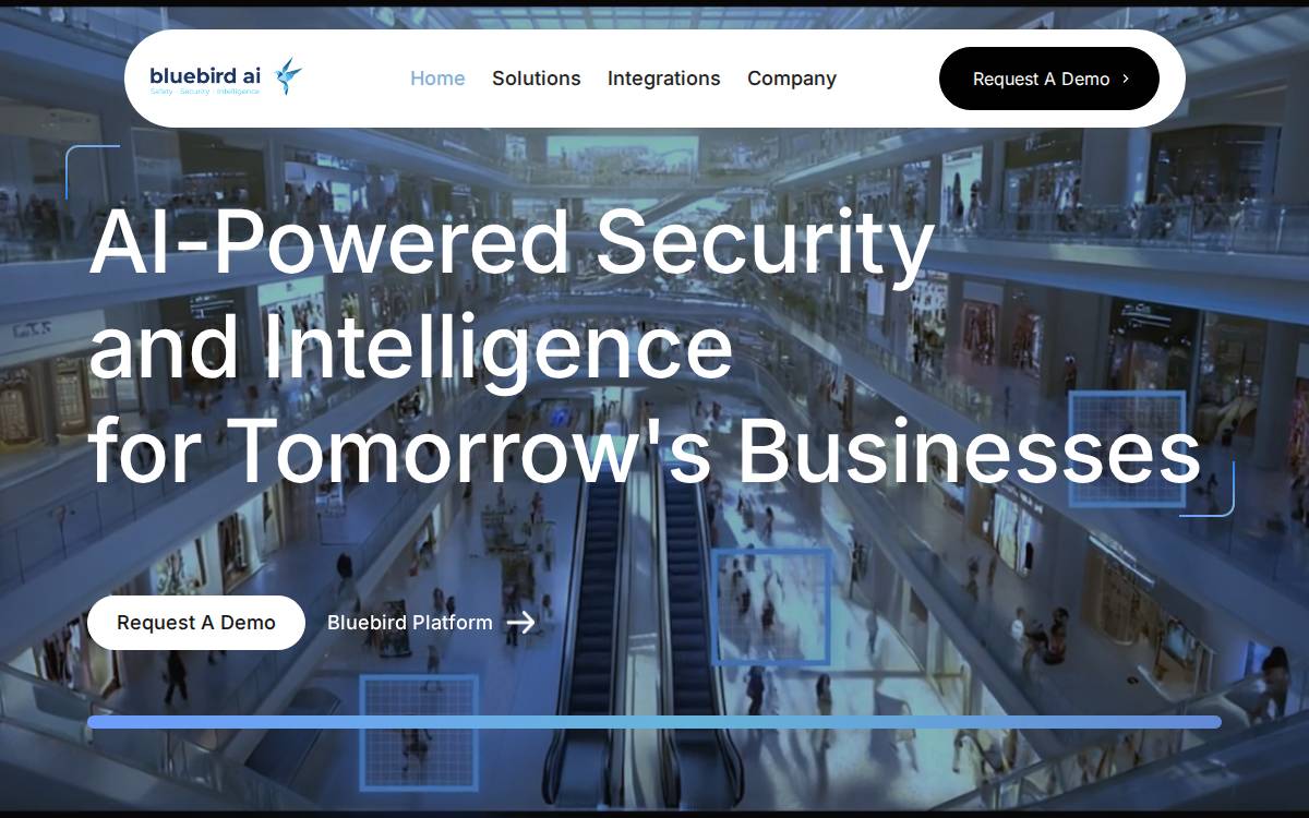 Bluebird AI website preview