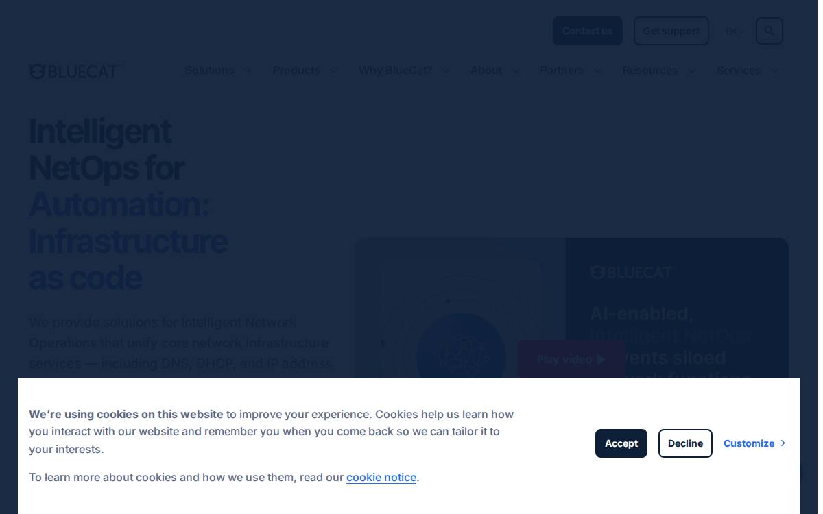 BlueCat website preview