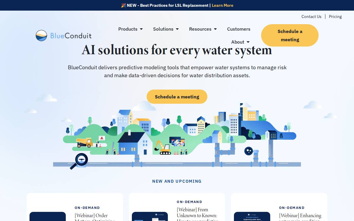 Blueconduit website preview