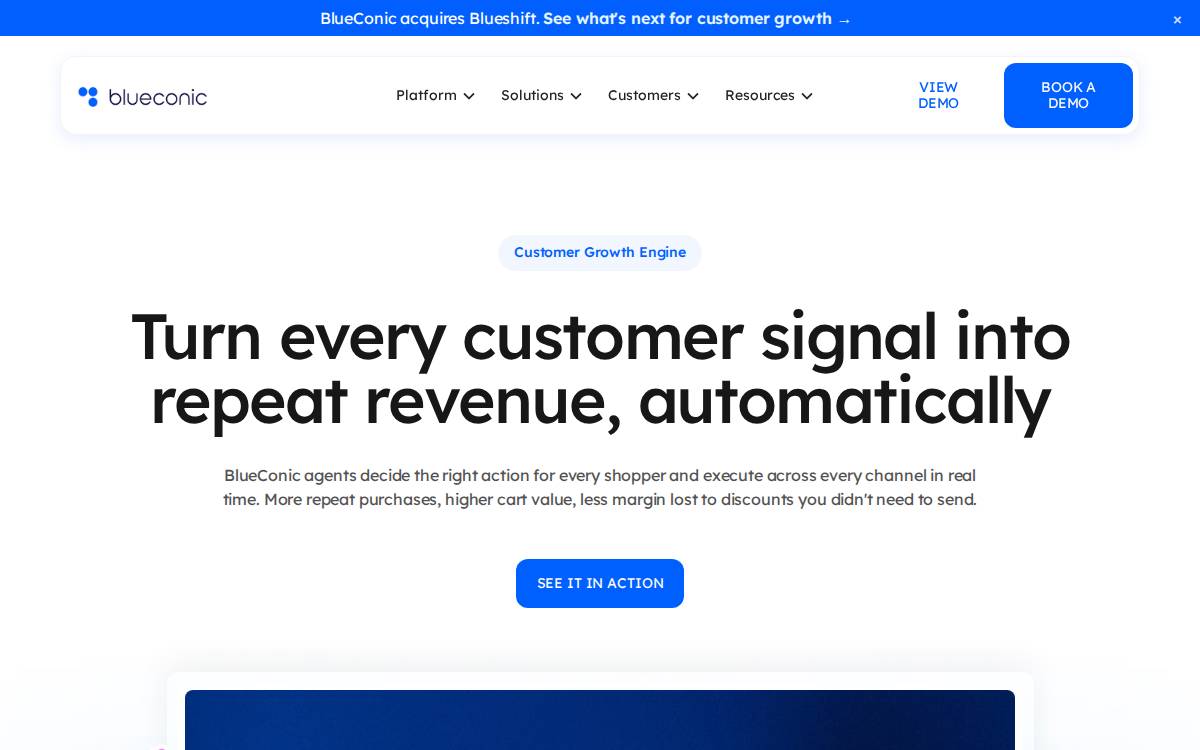 BlueConic website preview