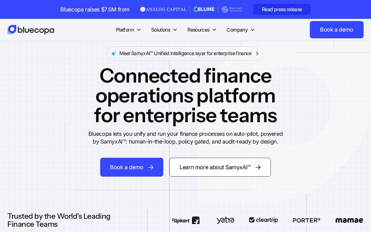 Bluecopa website preview