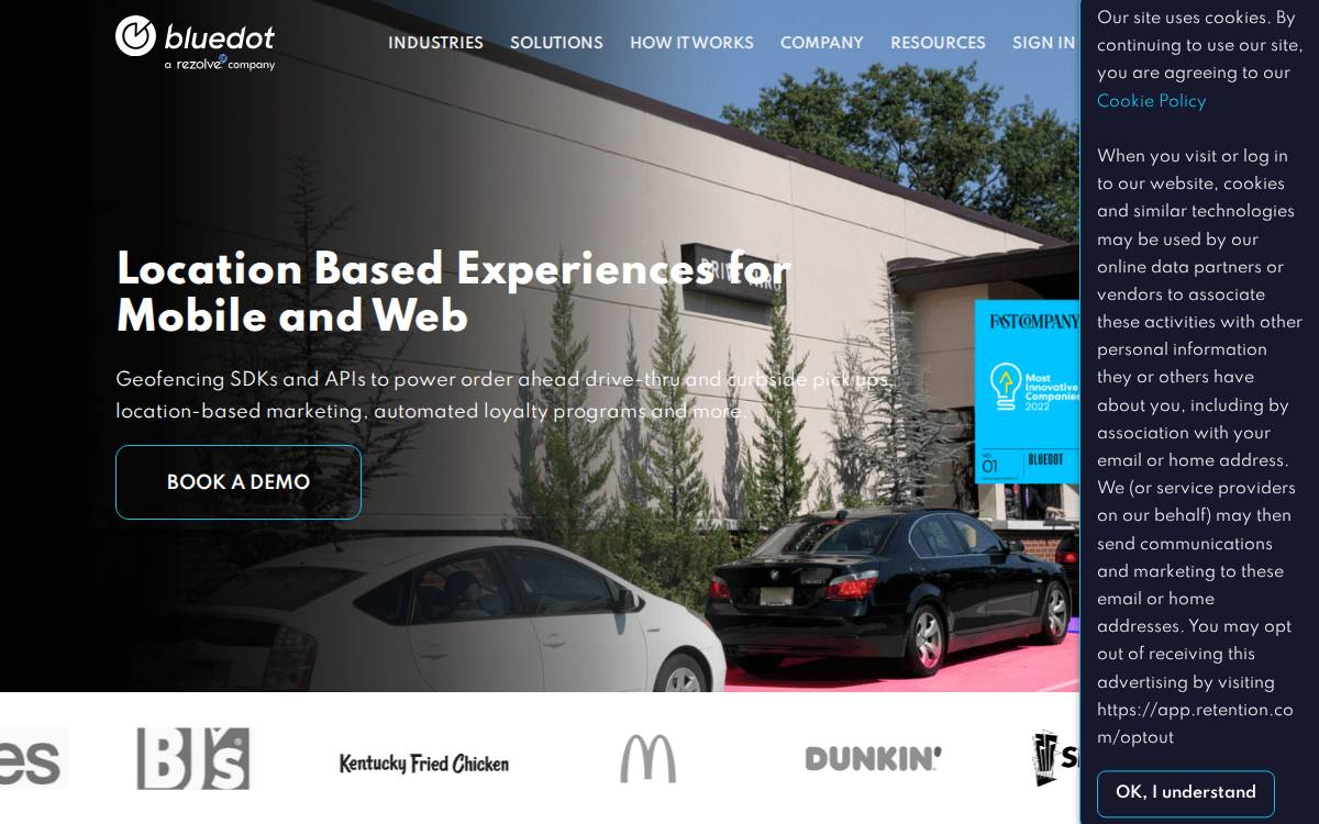 Bluedot website preview