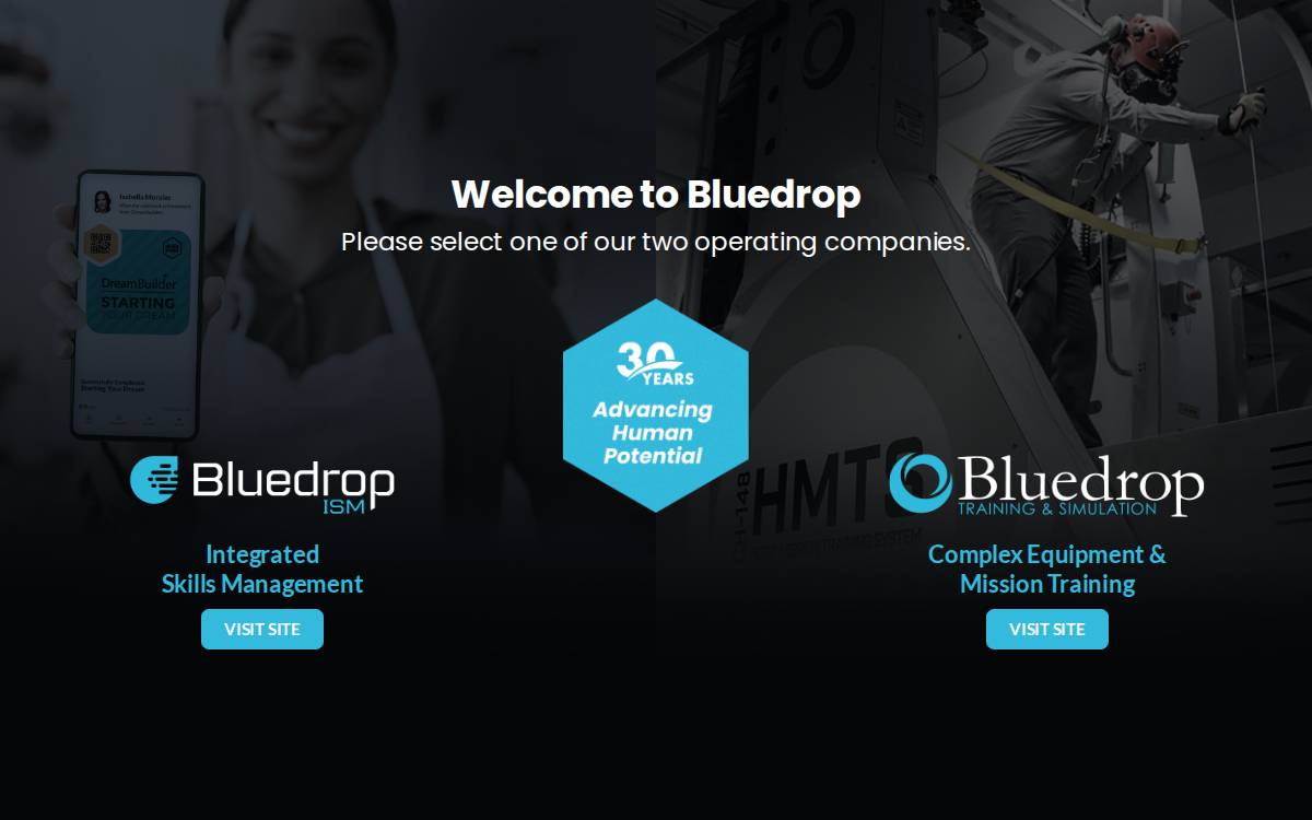 Bluedrop website preview