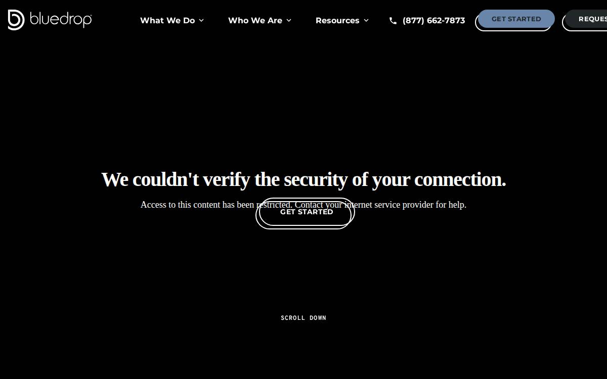 Bluedrop website preview
