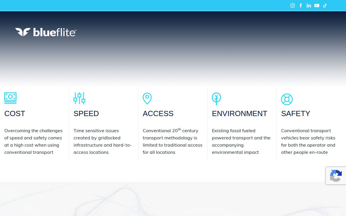 blueflite website preview
