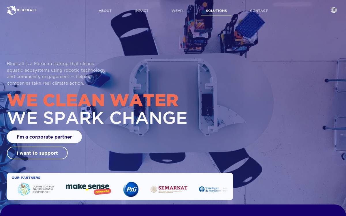 Bluekali website preview