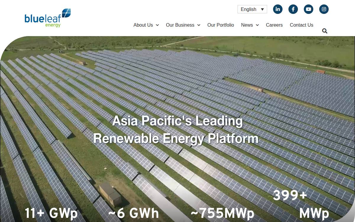 Blueleaf Energy website preview