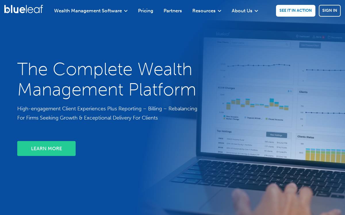 Blueleaf website preview