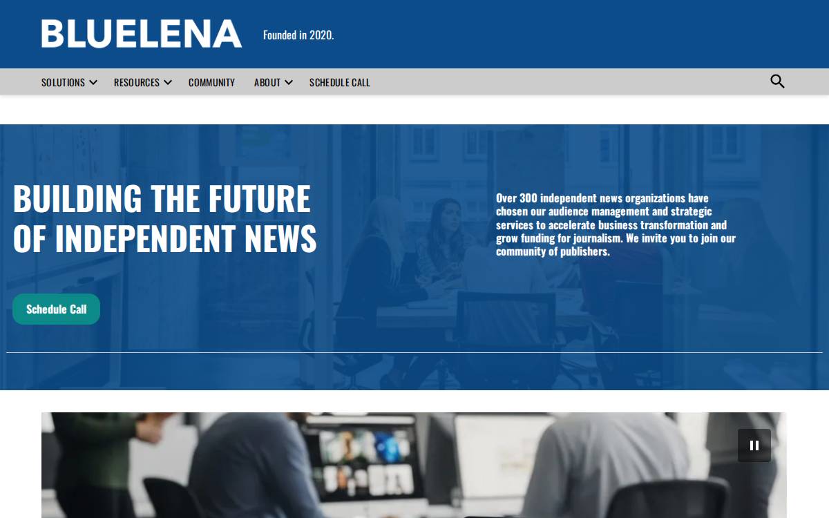 BlueLena website preview