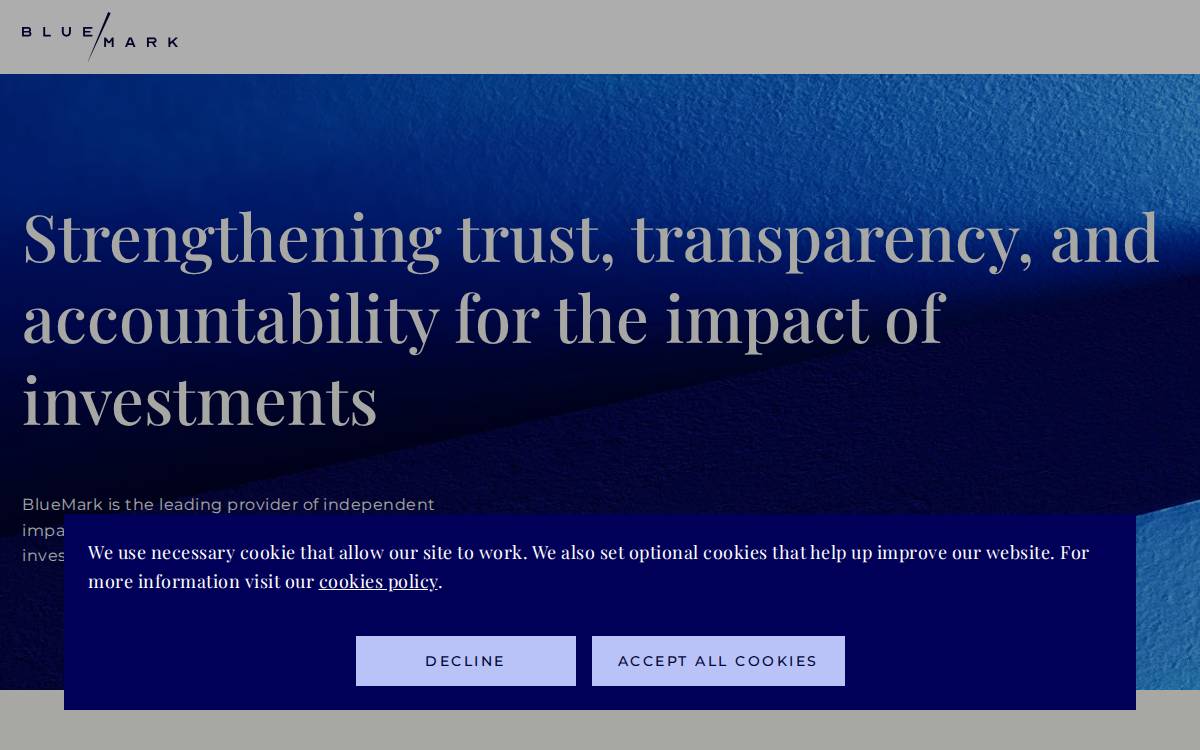 BlueMark website preview