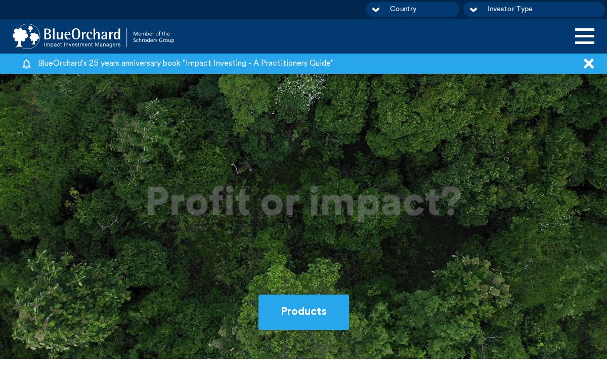 BlueOrchard website preview