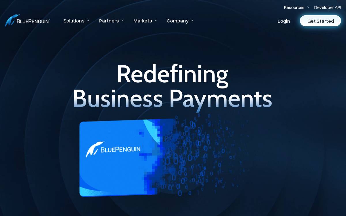 BluePenguin Payments website preview