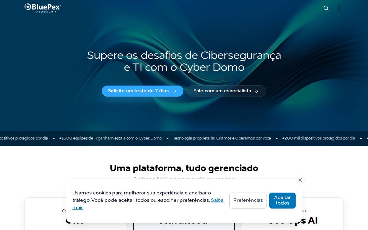 Bluepex website preview