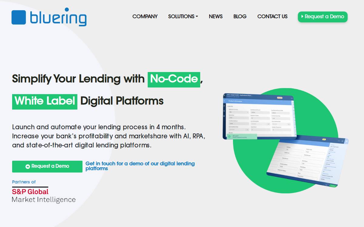 Bluering website preview