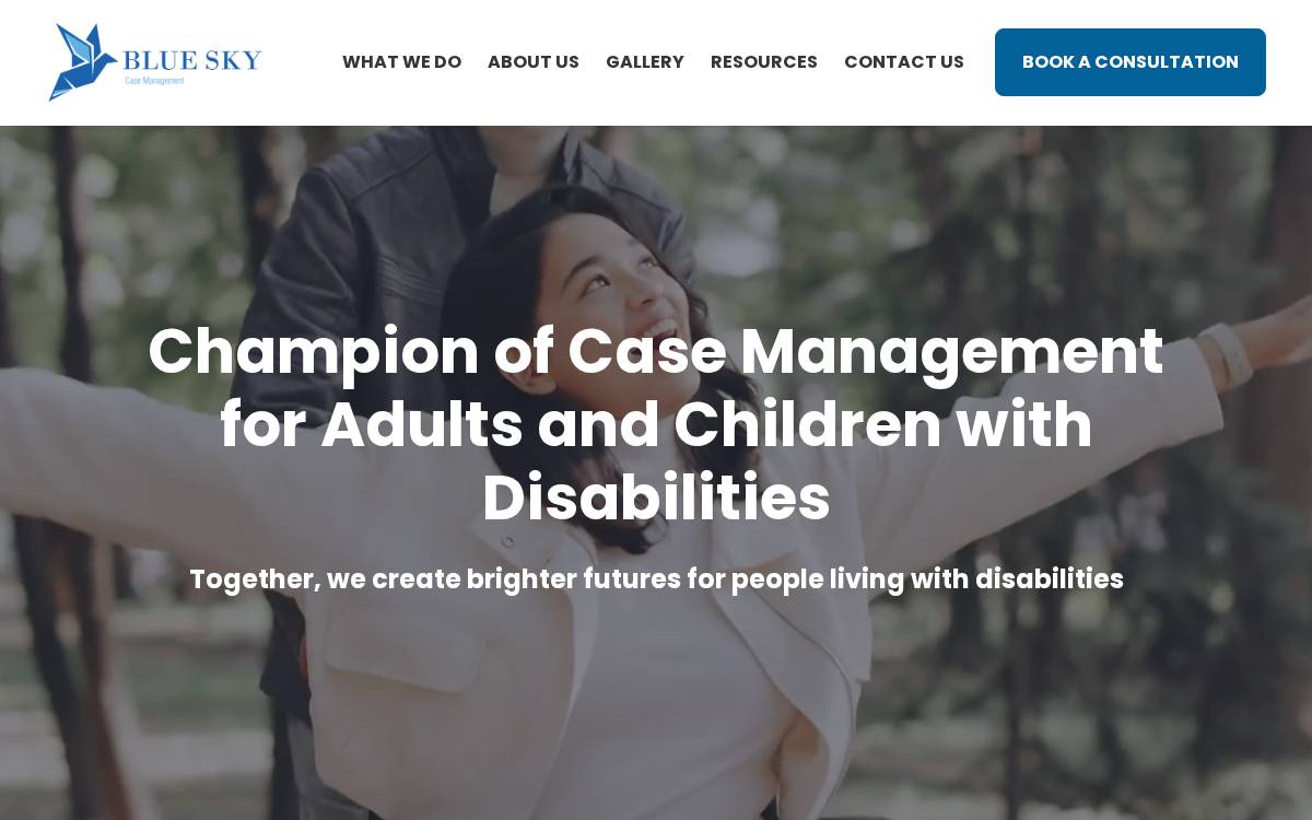 Blueskyky website preview