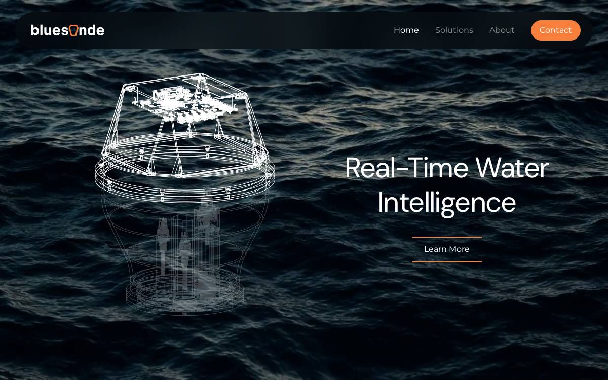 Bluesonde website preview