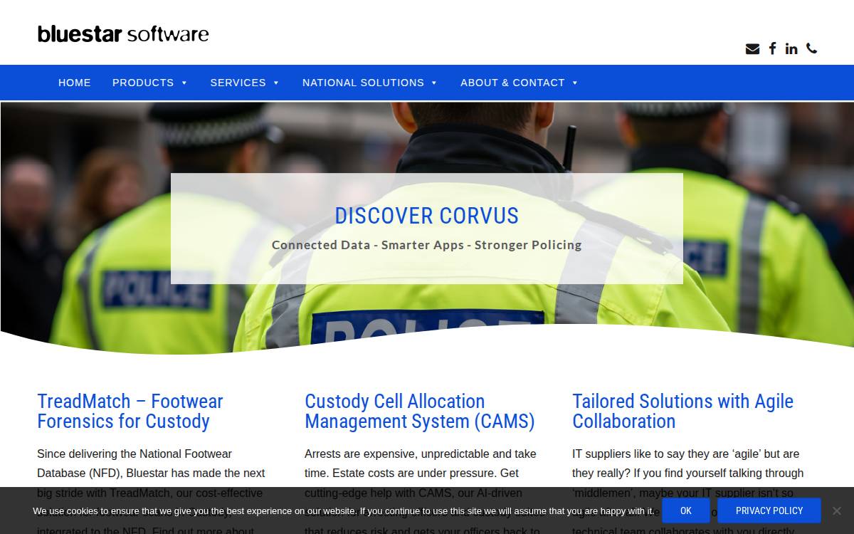 Bluestar Software.Co website preview