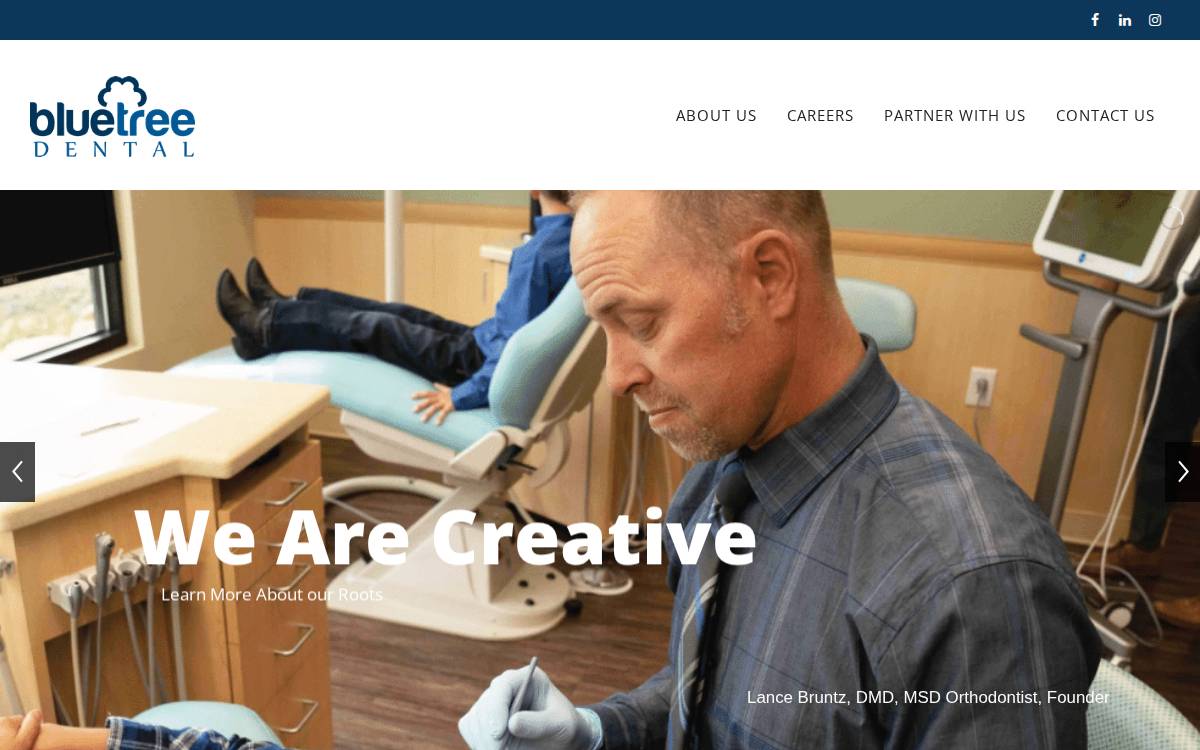 Bluetree Dental website preview
