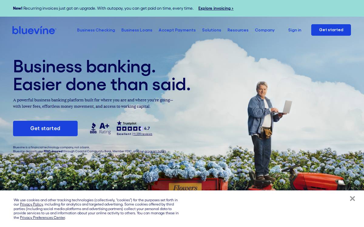 Bluevine website preview