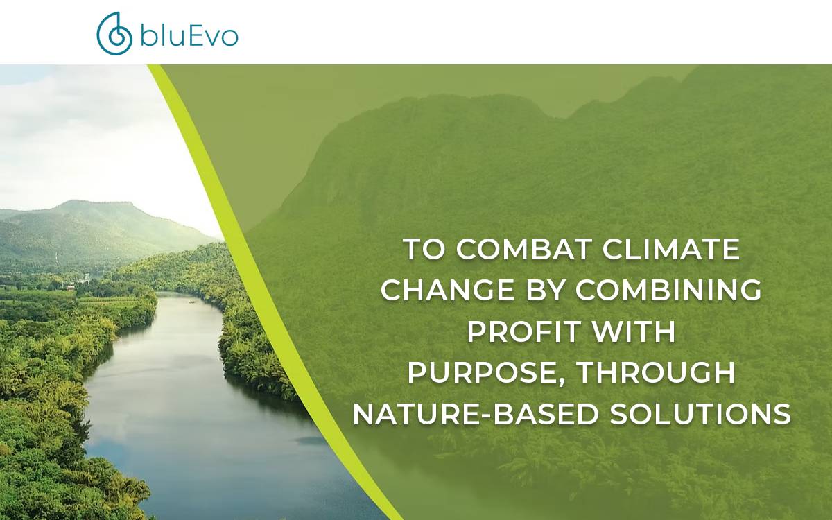 BluEvo website preview