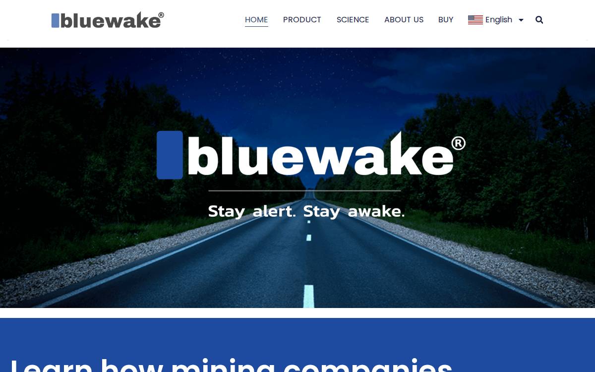 Bluewake website preview
